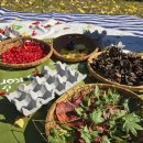 온세상어린이집 | [공지] 본오동 어린이집 추천 킹베어어린이집 조카랑 가을 나들이 다녀 온 후기