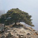 이송현 이미지
