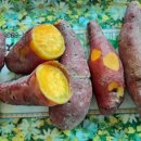 지승농장 이미지