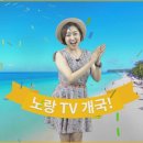 노랑홈쇼핑 이미지
