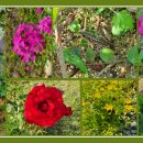 설악나들펜션 이미지