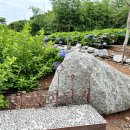 외양포공영주차장 이미지