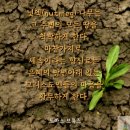 ✝️ 새벽기도 이미지