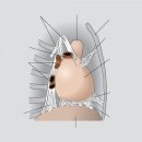 The Pericardial ligaments 이미지