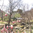 유왕별서 이미지