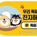 왕초켄넬 이미지