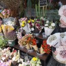 메리플라워 이미지