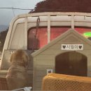 맛나감자탕대방점 이미지