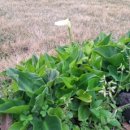 소박한바당쉼터 이미지