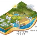 포지티브