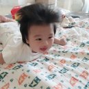 블랙트리 하우스 이미지