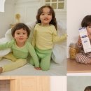 코코하니 네이버블로그