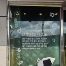 흑마늘황기명태 | [내돈내산] 단양 마늘떡갈비 맛집 추천 '흑마늘 황기명태'후기~^^*