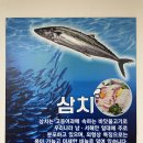 삼치회사랑 이미지