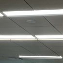 삼촌이하는맥주집 네이버블로그