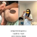 [호주 워홀15] 이 생활 변기에 넣고 내려