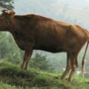 경훈목장 이미지