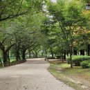 장자호수공원 생태체험관 | 서울 근교여행 구리 장자호수공원 장자호수생태체험관