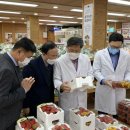 용진식품 티스토리