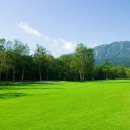 초원골프 이미지