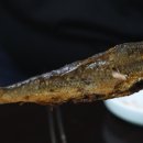 실비코너 이미지