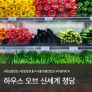 펌킨 펫하우스 청담 | 청담 맛집 추천ㅣ하우스 오브 신세계 청담 트웰브 베통 방문 후기 주차정보
