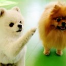 원쿡아카데미 이미지