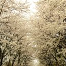 여주고등학교 이미지