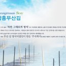 너구리부엌 이미지