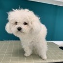 킨더그루밍 이미지