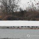 동림농장 이미지