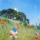 부민산 체육공원 | [필카]캐논 프리마줌 두번째 롤_코닥 컬러플러스 200