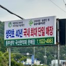 동부생약영농조합법인 | 기관지에 좋은 맥문동 효능과 맥문동 끓이는 법