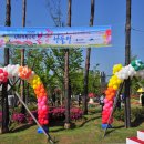 부산 UN평화공원 봄꽃나들이 축제 이미지