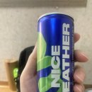 클룹 제로소다 청사과 250ml 후기