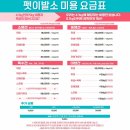 펫 이발소 | 마곡역 애견미용 잘하는곳 펫이발소 추천 이유