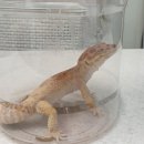 삼산종합동물병원 이미지