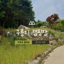 광여로L | 🏕️여주 구릉지 캠핑장 (소담터 3,4번):: 자연 속 조용히 힐링하기 좋은 신생 캠핑장 (but 벌레 전쟁)