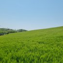 오월(5월) 1 이미지