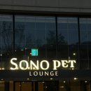 똑똑독 펫살롱 | [NOL] 소노펫 비발디파크 후기 애견동반 스위트룸 리얼 체험기