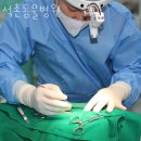 석촌동물병원 | 송파구 석촌동 동물병원 석촌동물병원 진료시간 접근성 이용후기