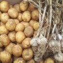 알뜰농장 이미지