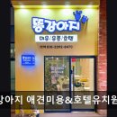 똥강아지 애견샵 | {부천, 강아지, 고양이, 애견미용, 추천!) 똥강아지 애견미용&amp;호텔유치원 부천 똥강아지, 맞춤 케어가...