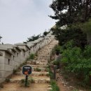 체부동만두
