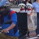 우주정복연구소 이미지