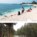플러스라이프