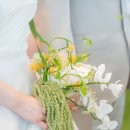 다르미앙 이미지