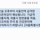 미욜 이미지