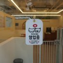멍냥이네 가위컷 네이버블로그