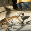 금진농장 이미지